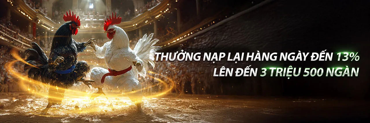 Đá gà trực tuyến 96win - Trận đấu kịch tính
